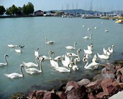Озеро Балатон в Венгрии — Как Добраться Самостоятельно и Где Остановиться, Что Посмотреть