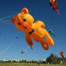 В Царицыно пройдет фестиваль воздушных змеев Xiv фестиваль воздушных змеев пестрое небо